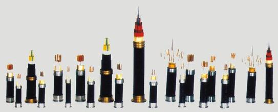 IPD研制系统在控制电缆行业同样适用